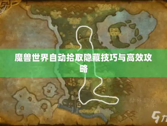 魔兽世界自动拾取隐藏技巧与高效攻略