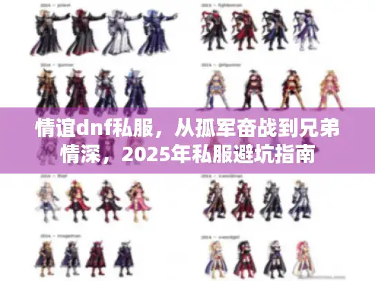 情谊dnf私服，从孤军奋战到兄弟情深，2025年私服避坑指南