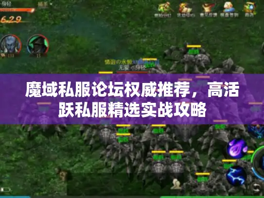魔域私服论坛权威推荐，高活跃私服精选实战攻略