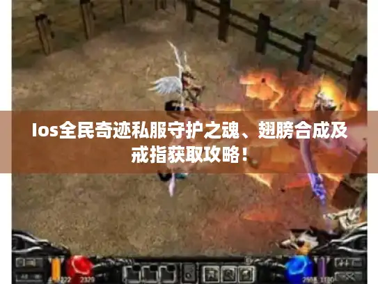 Ios全民奇迹私服守护之魂、翅膀合成及戒指获取攻略！