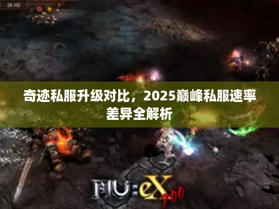 奇迹私服升级对比,2025巅峰私服速率差异全解析 奇迹私服升级对比,2025巅峰私服速率差异全解析