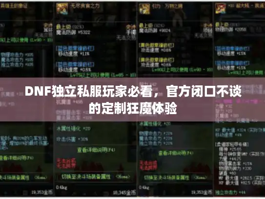 DNF独立私服玩家必看,官方闭口不谈的定制狂魔体验 DNF独立私服玩家必看,官方闭口不谈的定制狂魔体验