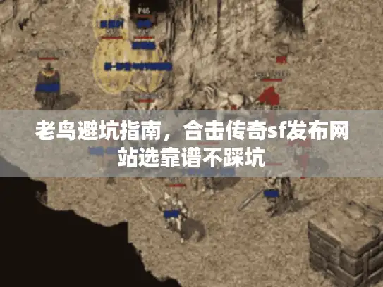 老鸟避坑指南，合击传奇sf发布网站选靠谱不踩坑