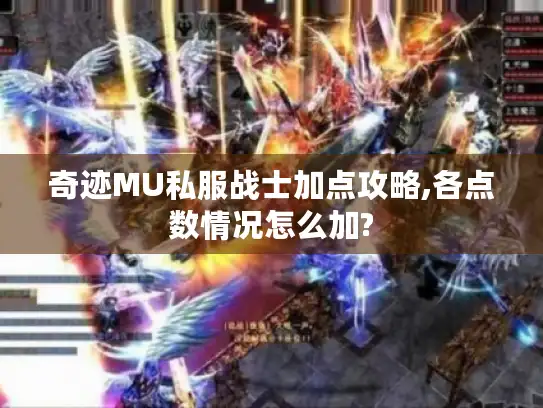 奇迹MU私服战士加点攻略,各点数情况怎么加?