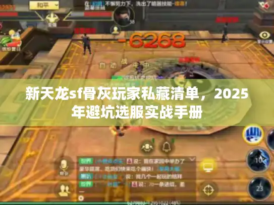 新天龙sf骨灰玩家私藏清单，2025年避坑选服实战手册