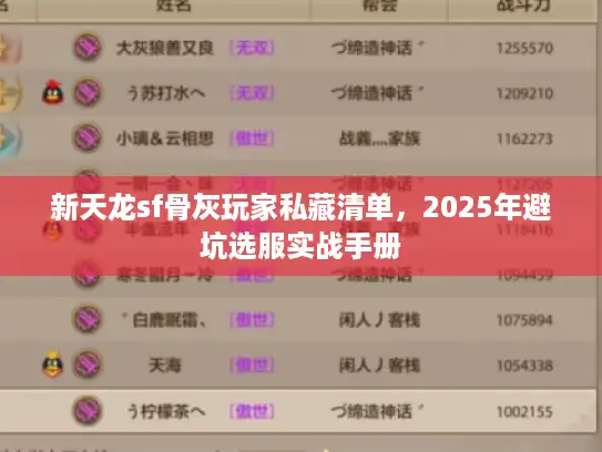 新天龙sf骨灰玩家私藏清单，2025年避坑选服实战手册