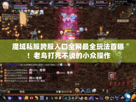 魔域私服跨服入口全网最全玩法首曝！老鸟打死不说的小众操作