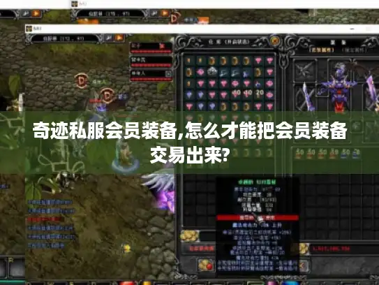 奇迹私服会员装备,怎么才能把会员装备交易出来?