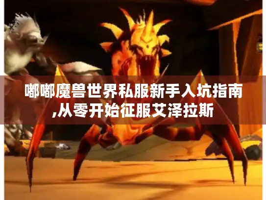 嘟嘟魔兽世界私服新手入坑指南,从零开始征服艾泽拉斯
