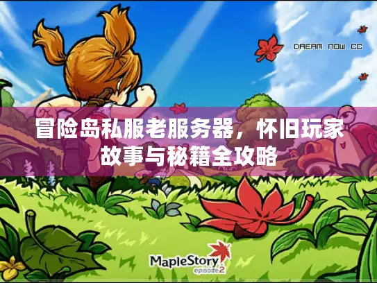 冒险岛私服老服务器，怀旧玩家故事与秘籍全攻略