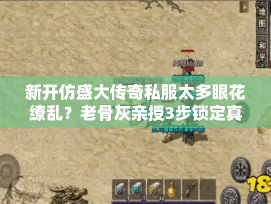 新开仿盛大传奇私服太多眼花缭乱？老骨灰亲授3步锁定真宝藏