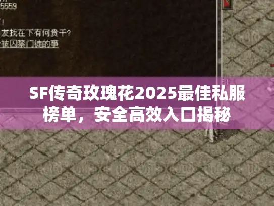 SF传奇玫瑰花2025最佳私服榜单，安全高效入口揭秘