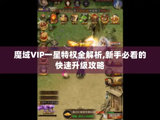 魔域VIP一星特权全解析,新手必看的快速升级攻略 魔域VIP一星特权全解析,新手必看的快速升级攻略