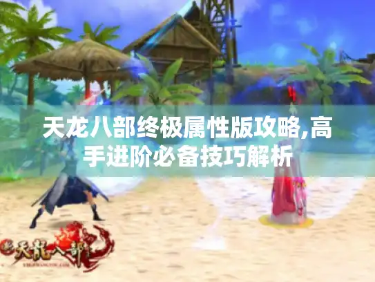 天龙八部终极属性版攻略,高手进阶必备技巧解析