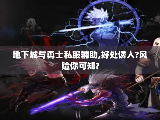 地下城与勇士私服辅助,好处诱人?风险你可知?