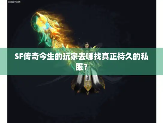 SF传奇今生的玩家去哪找真正持久的私服？