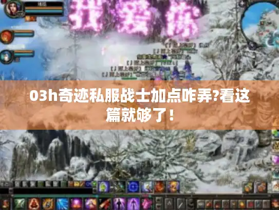 03h奇迹私服战士加点咋弄?看这篇就够了！