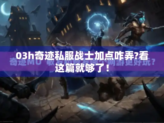 03h奇迹私服战士加点咋弄?看这篇就够了！