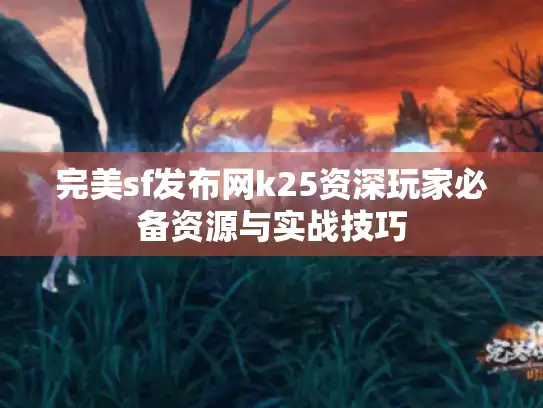 完美sf发布网k25资深玩家必备资源与实战技巧
