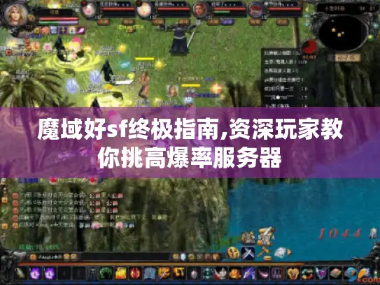 魔域好sf终极指南,资深玩家教你挑高爆率服务器