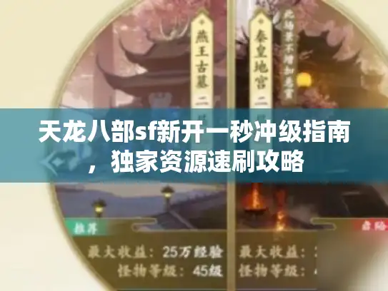 天龙八部sf新开一秒冲级指南,独家资源速刷攻略 天龙八部sf新开一秒冲级指南,独家资源速刷攻略