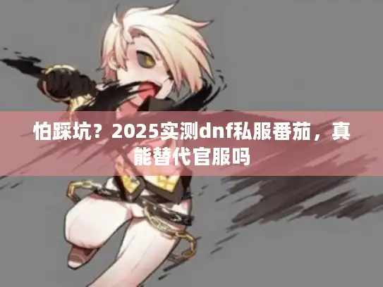 怕踩坑？2025实测dnf私服番茄，真能替代官服吗
