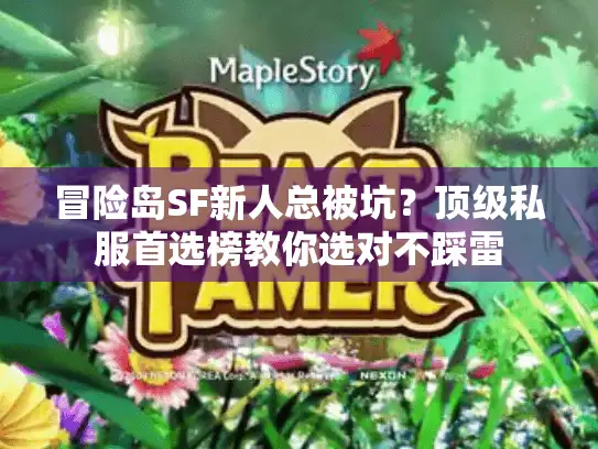 冒险岛SF新人总被坑？顶级私服首选榜教你选对不踩雷