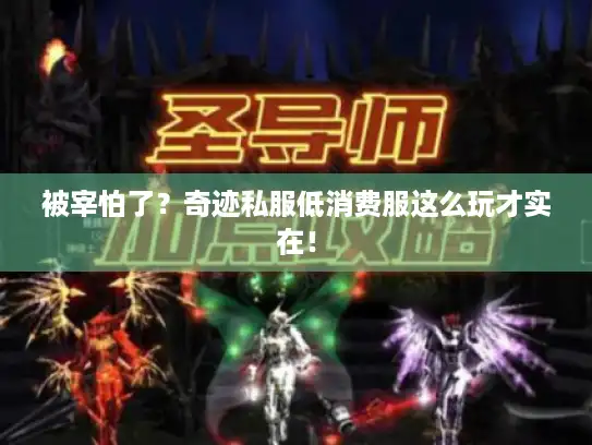 被宰怕了？奇迹私服低消费服这么玩才实在！