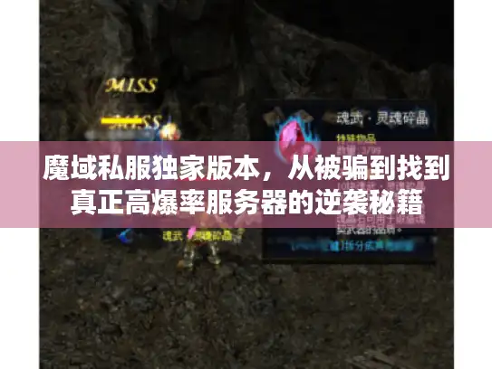魔域私服独家版本，从被骗到找到真正高爆率服务器的逆袭秘籍
