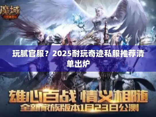 玩腻官服？2025耐玩奇迹私服推荐清单出炉