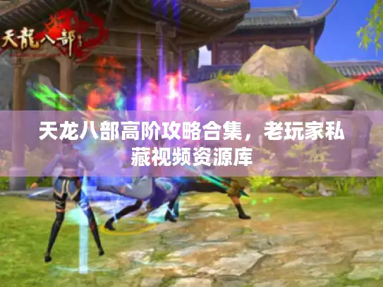 天龙八部高阶攻略合集，老玩家私藏视频资源库