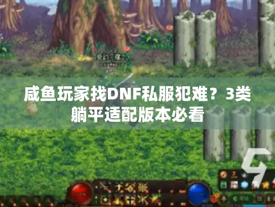 咸鱼玩家找DNF私服犯难？3类躺平适配版本必看