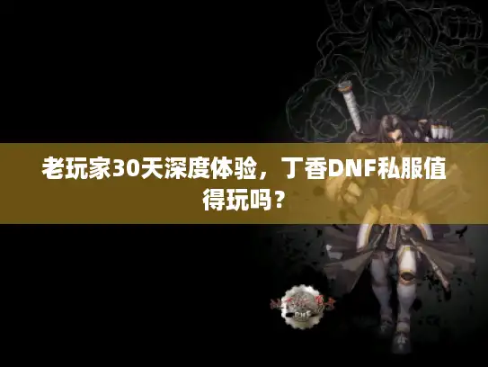 老玩家30天深度体验,丁香DNF私服值得玩吗? 老玩家30天深度体验,丁香DNF私服值得玩吗?