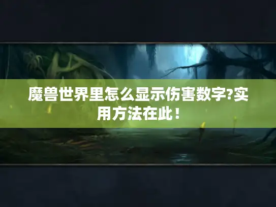 魔兽世界里怎么显示伤害数字?实用方法在此！