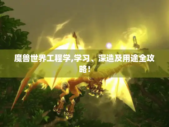 魔兽世界工程学,学习、深造及用途全攻略! 魔兽世界工程学,学习、深造及用途全攻略!
