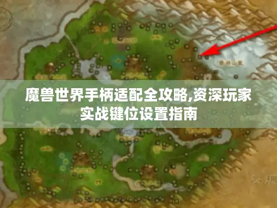 魔兽世界手柄适配全攻略,资深玩家实战键位设置指南