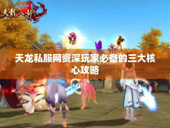 天龙私服网资深玩家必备的三大核心攻略