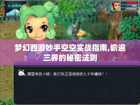 梦幻西游妙手空空实战指南,偷遍三界的秘密法则