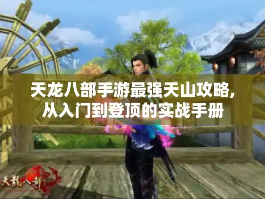 天龙八部手游最强天山攻略,从入门到登顶的实战手册