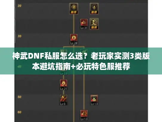神武DNF私服怎么选？老玩家实测3类版本避坑指南+必玩特色服推荐