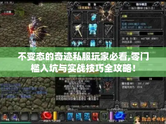 不变态的奇迹私服玩家必看,零门槛入坑与实战技巧全攻略！