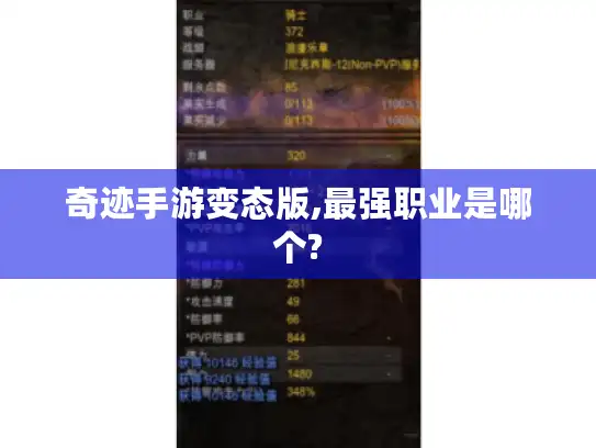 奇迹手游变态版,最强职业是哪个? 奇迹手游变态版,最强职业是哪个?