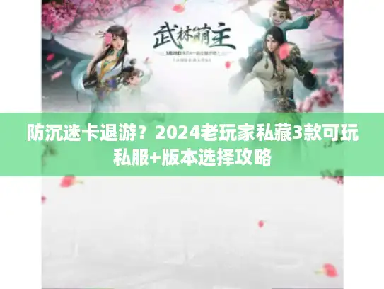 防沉迷卡退游？2024老玩家私藏3款可玩私服+版本选择攻略