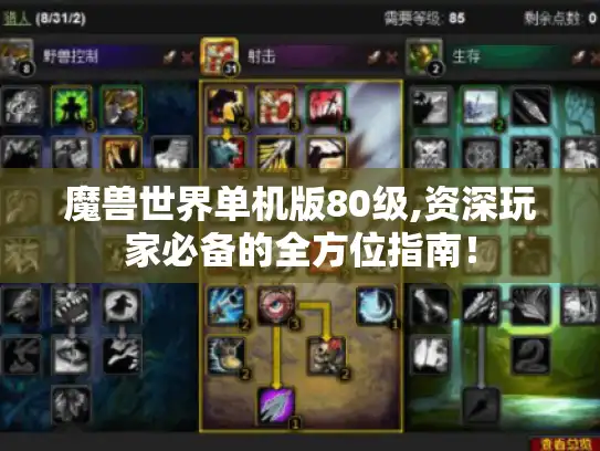 魔兽世界单机版80级,资深玩家必备的全方位指南！