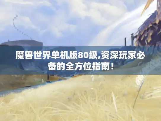 魔兽世界单机版80级,资深玩家必备的全方位指南！