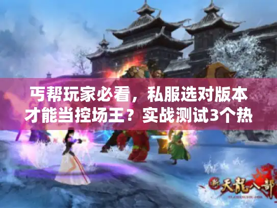 丐帮玩家必看，私服选对版本才能当控场王？实战测试3个热门服的输出真相