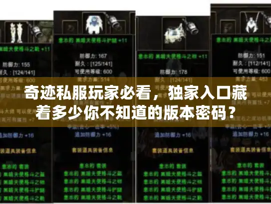 奇迹私服玩家必看，独家入口藏着多少你不知道的版本密码？