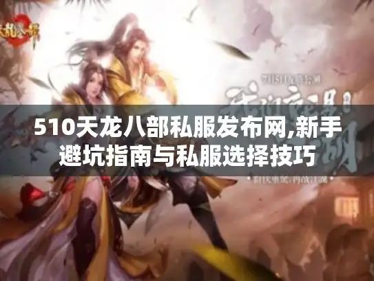 510天龙八部私服发布网,新手避坑指南与私服选择技巧 510天龙八部私服发布网,新手避坑指南与私服选择技巧