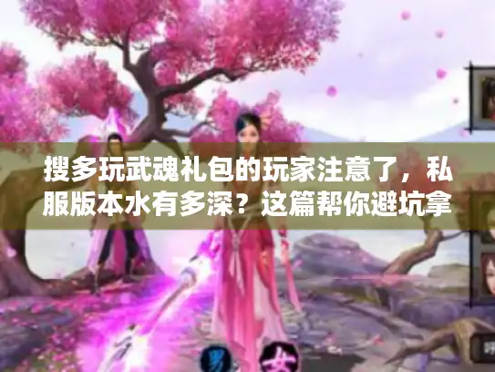 搜多玩武魂礼包的玩家注意了，私服版本水有多深？这篇帮你避坑拿福利