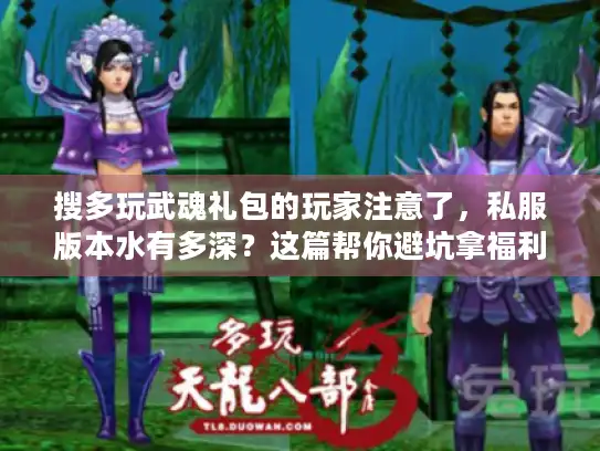 搜多玩武魂礼包的玩家注意了，私服版本水有多深？这篇帮你避坑拿福利